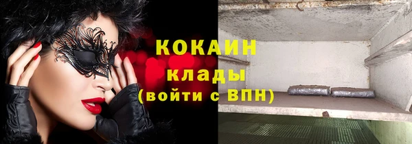 дмт Абаза