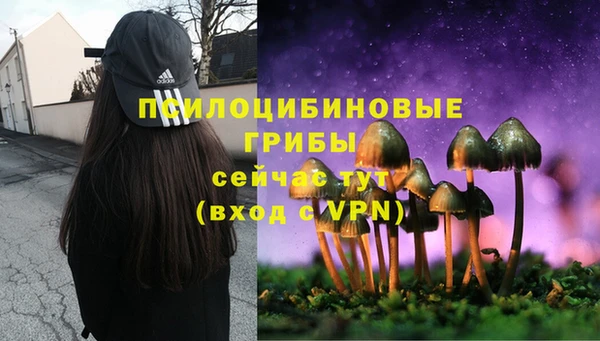 ECSTASY Алзамай