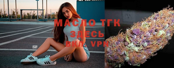 дмт Абаза